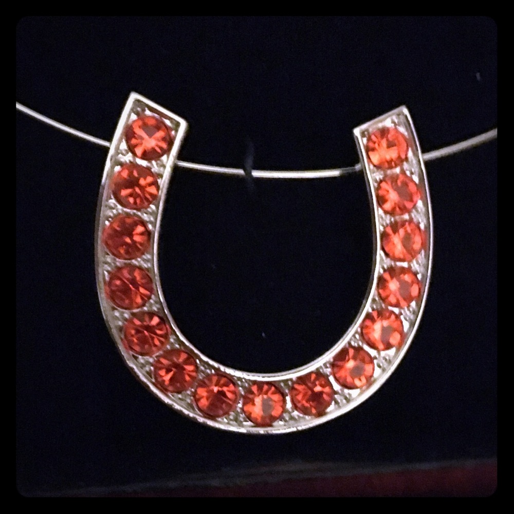 Montana Silversmith Horseshoe Choker Necklace